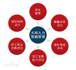 郑州社保公积金代理、劳务派遣及人事外包服务市场概况