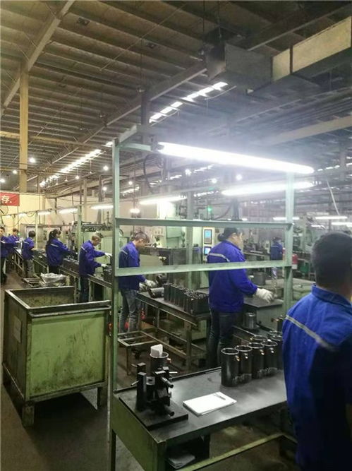 安徽锦卓人力资源 专业劳务派遣服务助力芜湖企业高效发展